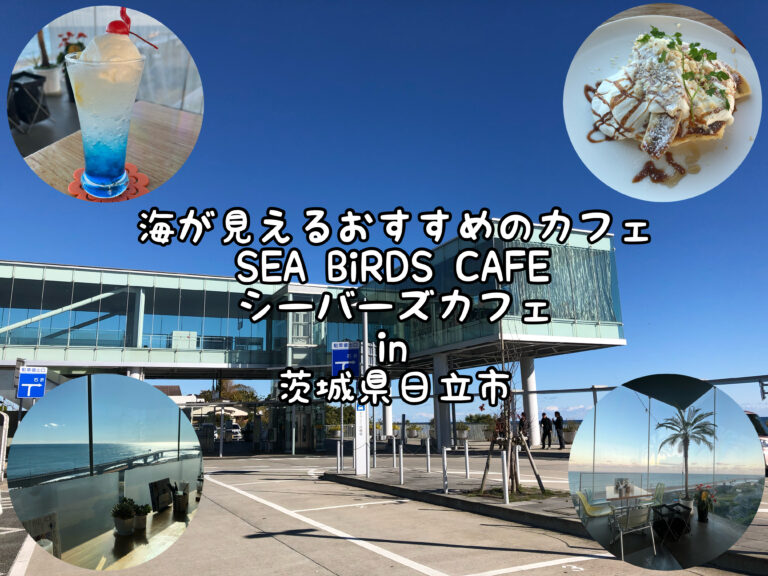 海が見える「シーバーズカフェ（SEA BiRDS CAFE）」in 茨城県日立市 Satochannel